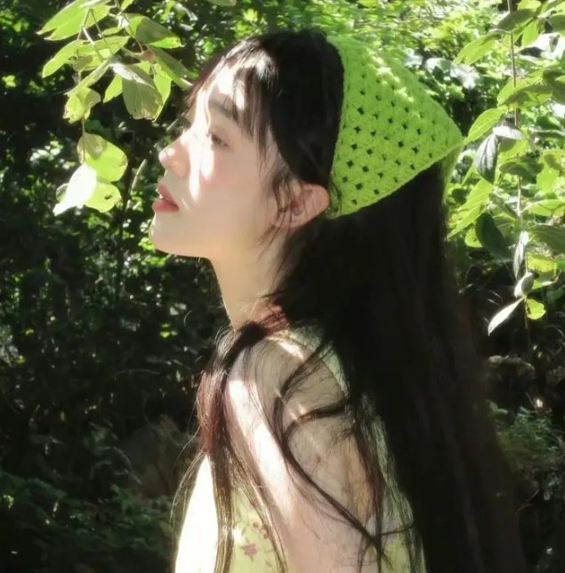 夏之庭
